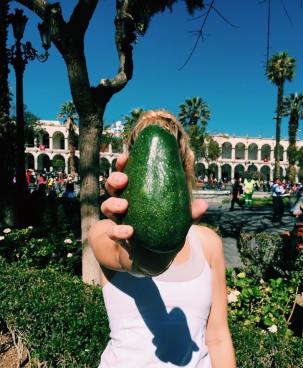 11996996_10153514855335428_1303825832_n