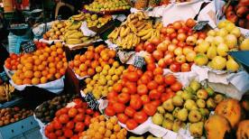 12022989_10153514855490428_1812954105_n