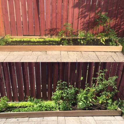 14218409_10154304938960428_1003542999_n