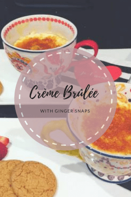 Copy of Copy of Copy of Copy of Copy of Copy of Copy of Copy of Copy of Copy of Copy of Copy of Copy of Copy of Zoodles (3)