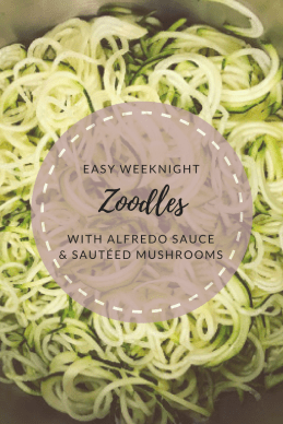 Zoodles (2)