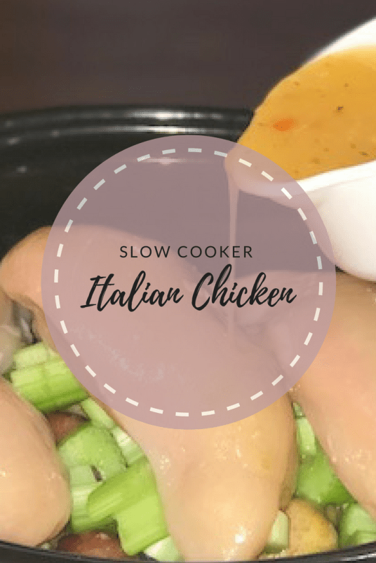 Copy of Copy of Copy of Copy of Copy of Copy of Copy of Copy of Copy of Copy of Copy of Zoodles (1).png