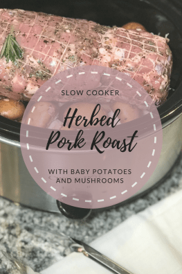 Copy of Copy of Copy of Copy of Copy of Copy of Copy of Copy of Copy of Copy of Copy of Copy of Copy of Copy of Copy of Copy of Copy of Zoodles (1)