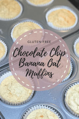 Copy of Copy of Copy of Copy of Copy of Copy of Copy of Copy of Copy of Copy of Copy of Copy of Copy of Copy of Copy of Copy of Copy of Copy of Zoodles (6)